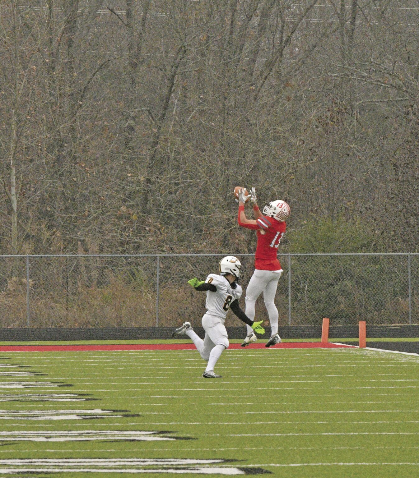 Reeds Spring James Dowdyjpg